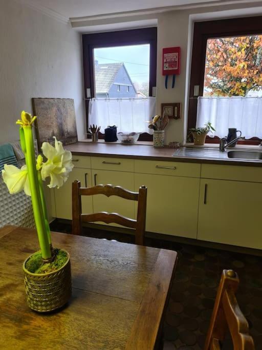 Haus Paesch Nahe See Mit Beheiztem Whirlpool/Sauna 比特亨巴赫 外观 照片